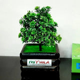 Artificial Bonsai Plant with Elegant BAMBOO FLOWER Pot