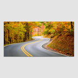 Beautiful Green Mountain Road with Beautiful Highway Wall Painting