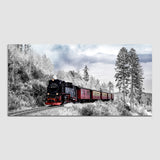 Train Passes with Track with Snow Forest Mountain Wall Painting