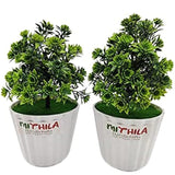 Artificial Plants  set of 2 with Pot Bonsai Potted Plastic Faux Green Grass Fake Topiaries Shrubs for Home, Garden and Office Decor