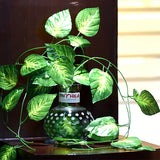 ROUND GLASS VASE WITH ARTIFICIAL MONEY PLANT-SMALL-POLKA DOTS