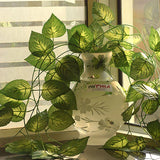 OVAL GLASS VASE WITH ARTIFICIAL MONEY PLANT