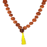 Premium Rudraksh Mala-Kantha-54 Beads-Size 18 mm